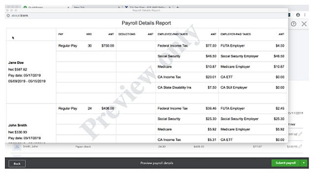 QBO_Payroll_Details-preview-report