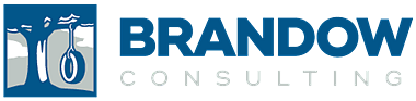 Brandow_consulting-logo_380w