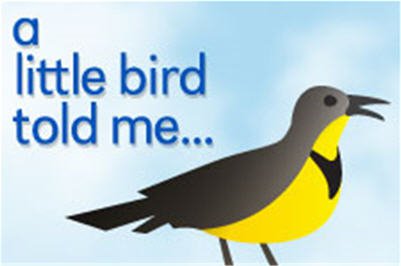 A little bird told me.jpg