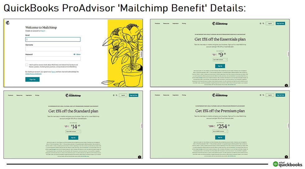 Mailchimp-ProAdvisor-benefit.png