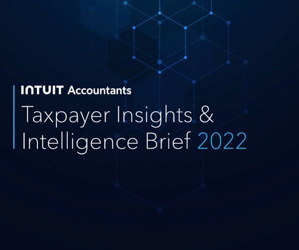 2022 Taxpayer Insights & Intelligence Brief.jpeg