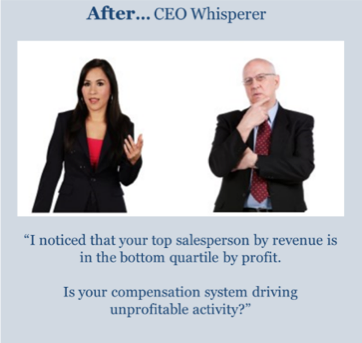 ceo whisperer 2.png