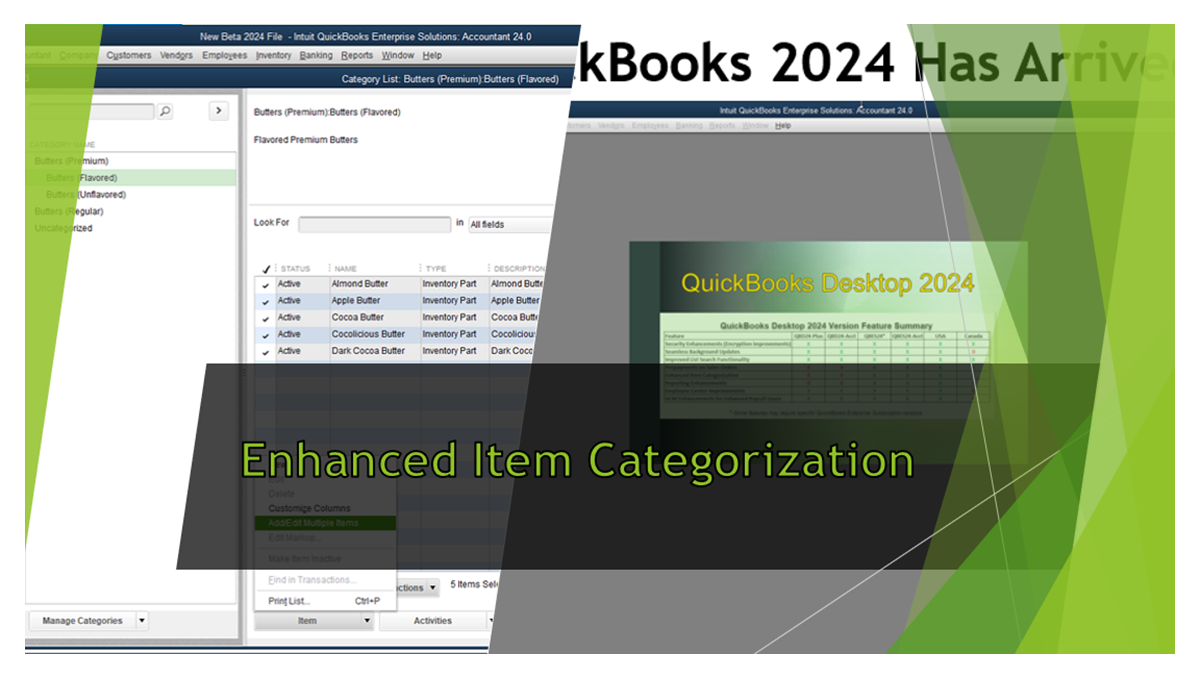 QuickBooks Desktop 2024 Enhanced Item Categorization