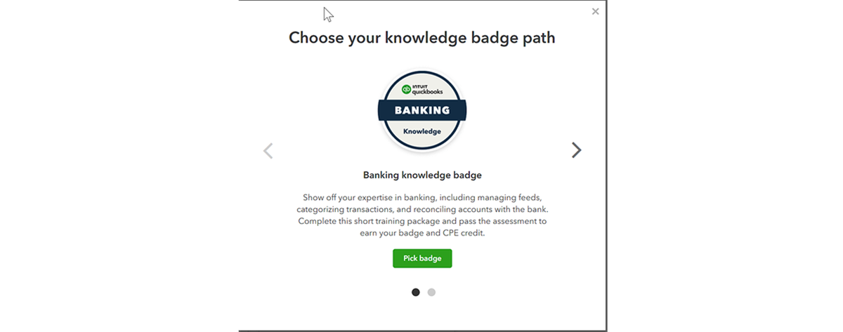 Badge Happy ProAdvisor Skill Training Now Available 