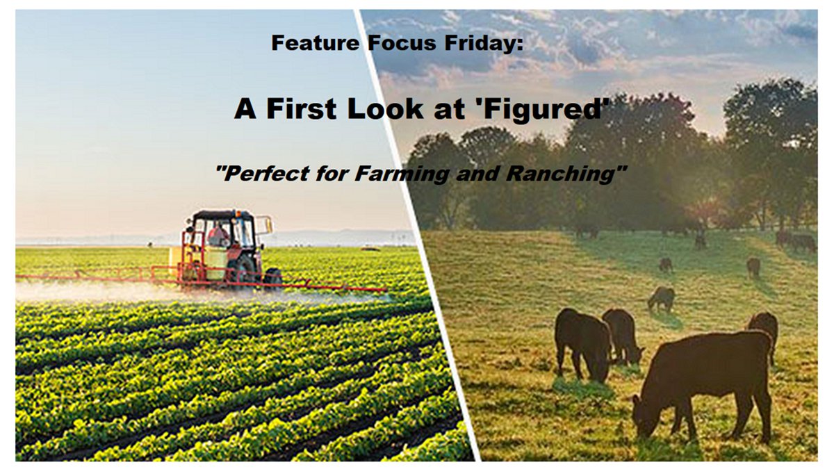 Feature Focus Fridays - First Look at Figured