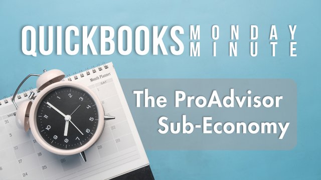 The ProAdvisor Sub-Economy