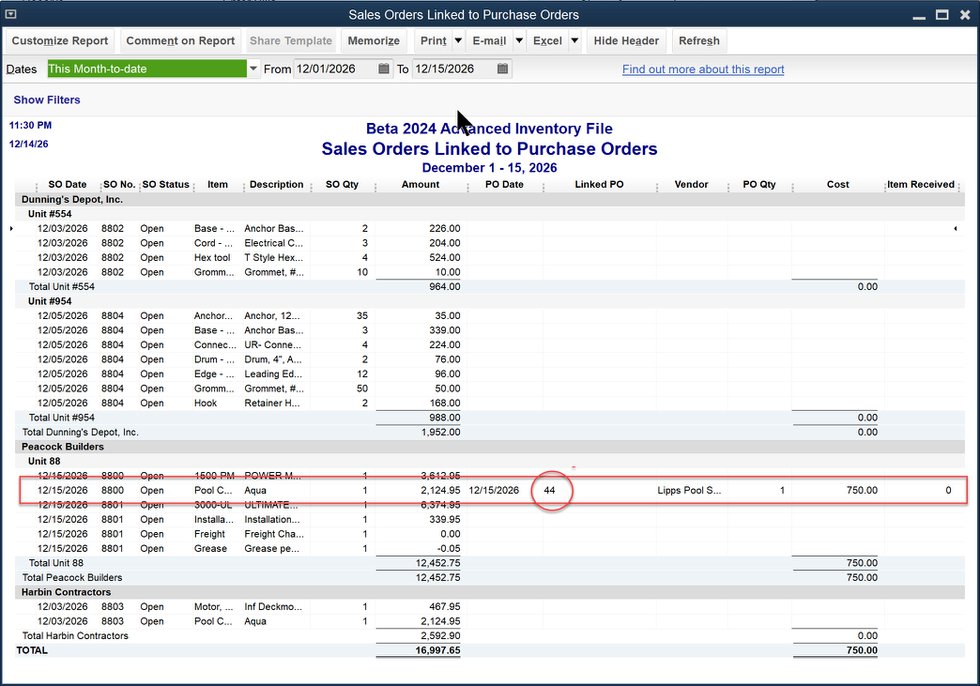 Linked PO - SO Report.jpg
