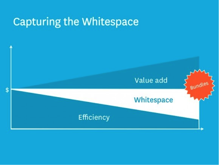 Capturing The Whitespace