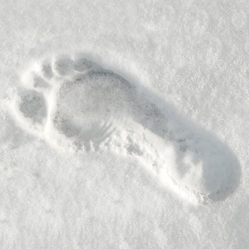 face the yeti footprint