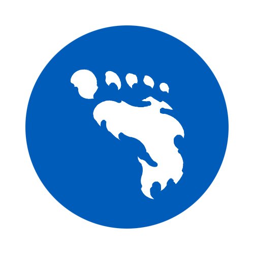 yeti footprint