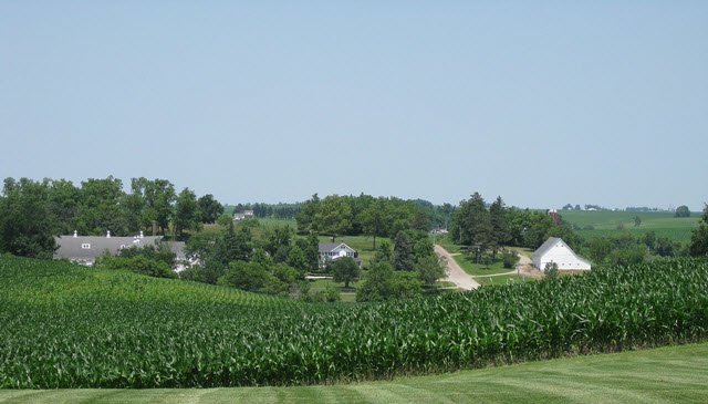 Iowa corn fields