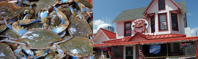 Blue_crab_at_Claws_Delaware