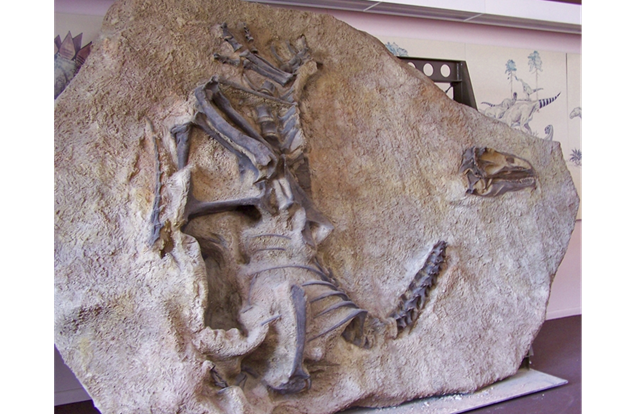 Dinosaur_National_Monument_Utah