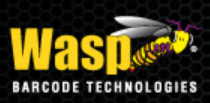WaspTech